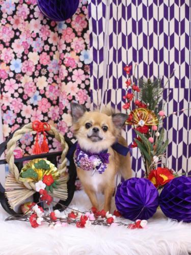 20250111れおくん